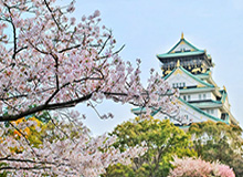 【直播】轩染、无双撞车后开房间互骂：土狗你到底在扑啥啊